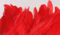 Schlappen Red