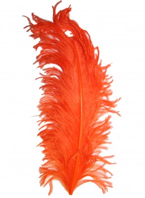 Ostrich plumes strutsherl orange